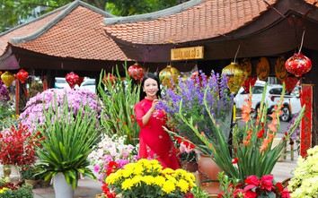 Quán hoa Hải Phòng: Rạng rỡ sắc xuân xưa giữa lòng đô thị hiện đại