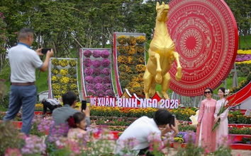 Nghệ An: Người dân đua nhau check-in với đường hoa xuân và linh vật ngựa vàng