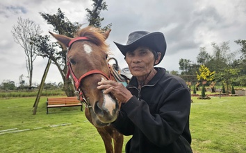 Ký ức vó ngựa thồ giữa miền trung du