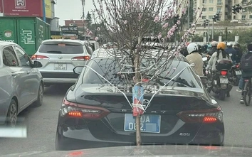 Tài xế ô tô biển xanh buộc cành đào che biển số bị phạt 23 triệu đồng, trừ điểm bằng lái