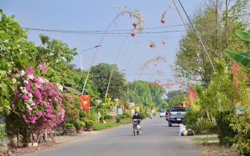 Giữ hồn quê với con đường nêu rực rỡ đón Tết giữa vùng đất công nghiệp Đồng Nai