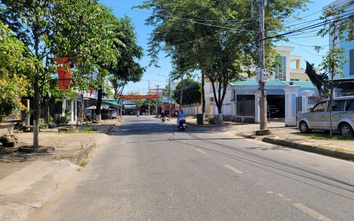 Quảng Ngãi: Cấp xã cấp giấy phép chặt hạ, dịch chuyển cây xanh