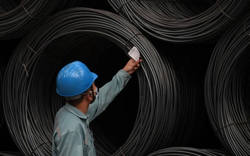 Vì sao doanh nghiệp vật liệu xây dựng cần chủ động dán nhãn năng lượng?