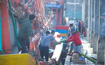 Ngư dân Quảng Trị vươn khơi, khoang tàu đầy ắp “lộc” biển đầu năm