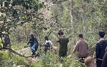 Xuyên đêm tìm kiếm 4 du khách lạc trong rừng nguyên sinh Tây Yên Tử
