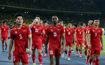 Đội tuyển Việt Nam nhảy vọt trên bảng xếp hạng FIFA?