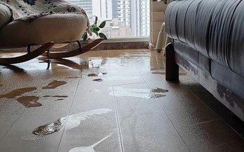 Nồm ẩm sau Tết ở miền Bắc: Cách giữ nhà khô ráo, hạn chế nấm mốc