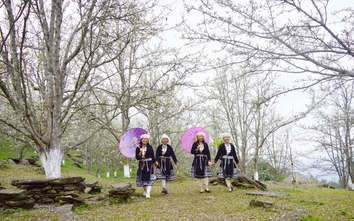 Lễ hội hoa lê Hồng Thái - điểm hẹn vùng cao Tuyên Quang