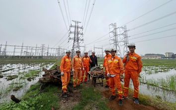 Hà Nội: Đẩy nhanh tiến độ các dự án đầu tư xây dựng lưới điện truyền tải