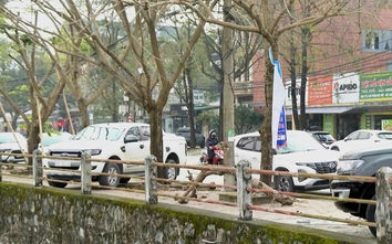 Nghệ An sẽ xử lý nghiêm vi phạm chiếm dụng vỉa hè làm nơi đỗ xe