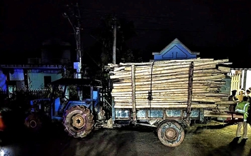 Huế: Xe máy va chạm xe chở keo tràm, hai chị em tử vong thương tâm