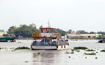 Bến phà nối Cần Thơ, Vĩnh Long hoạt động trở lại sau 3 tháng tạm dừng