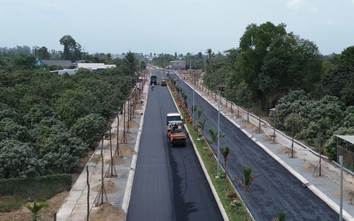 Đồng Tháp: Thông xe đường Trần Bá Lê trước tết Nguyên đán 2026