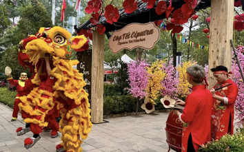 Người dân rộn ràng đón Tết Nguyên đán Bính Ngọ 2026