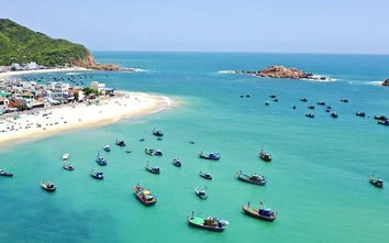 Từ đồ án xuất sắc đến câu chuyện bảo tồn làng chài Hải Minh