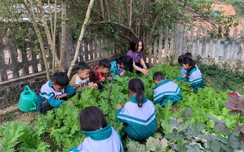 Cô giáo vùng cao và hành trình gieo chữ thầm lặng