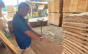 Doanh nghiệp xuất khẩu xoay chuyển "bắt" cơ hội trong biến động khu vực Trung Đông