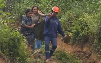 Chặt keo dưới đường dây cao thế ở Quảng Ngãi, hai người bị điện giật nguy kịch