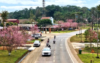 Quảng Ngãi: Sớm triển khai cao tốc Quảng Ngãi - Kon Tum và nâng cấp QL24