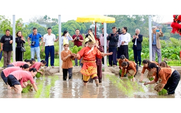 Độc đáo lễ hội tái hiện Vua Hùng dạy dân cấy lúa ở Phú Thọ