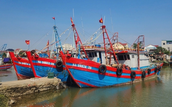 Nghệ An cần hơn 2.300 tỷ đồng để phát triển hạ tầng cảng cá và khu neo đậu