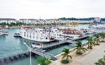 Mức giá mới cho khách qua cảng Tuần Châu
