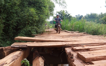 Đắk Nông: Thay cầu gỗ, cầu tạm bằng cầu bê tông