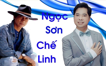 Chế Linh đứng chung sân khấu với Ngọc Sơn