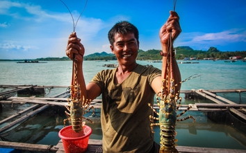 Thăm Bình Ba - xứ sở tôm hùm Nha Trang