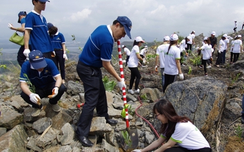 Vietnam Airlines và Vietravel tặng 50 nghìn cây keo gai, phủ xanh bãi than