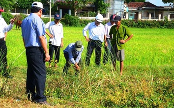 Vụ "bê tông cốt cây": Chủ đầu tư dự án xin lỗi người dân