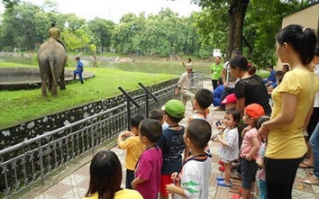 Ngày Quốc tế thiếu nhi: Đưa bé đi chơi ở đâu tại Hà Nội?