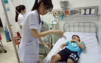 Hà Tĩnh: 9 học sinh tiểu học nguy kịch vì ăn quả ngô đồng