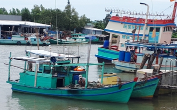 Bão thành áp thấp, tàu thuyền Cà Mau ra khơi trở lại