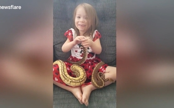 Video: Bé gái 3 tuổi đùa nghịch với 3 con trăn châu Phi