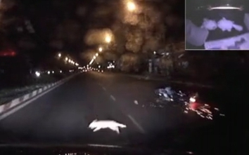 Video: Mèo phi qua đường "đốn" ngã cô gái khiến xe máy tóe lửa