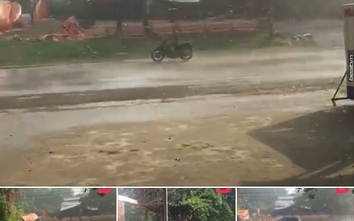 Cơn "mưa vàng" đổ xuống thị xã Sơn Tây xua tan nắng nóng