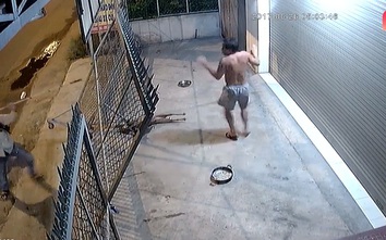 Video:"Cẩu tặc" chích điện 2 chú chó rồi cầm gậy tấn công chủ nhà