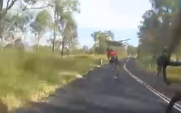 Video: VĐV đang đạp xe bị chuột túi lao tới đạp thẳng vào đầu