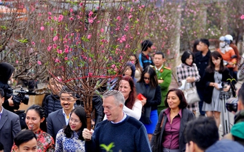 Video: Đại sứ Mỹ mua hoa đào đón Tết tại chợ hoa Quảng An