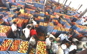 Hà Nội sắp có chợ đầu mối 250 triệu USD bán thực phẩm sạch