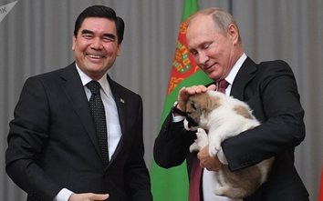 Video: Tổng thống Putin được tặng chó chăn cừu Trung Á