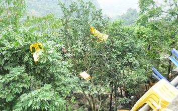 Người dân xả rác "tùm lum" trong ngày đầu khai hội chùa Hương