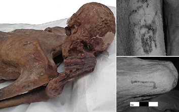 Hình xăm cổ nhất thế giới trên xác ướp Ai Cập 5.200 năm tuổi