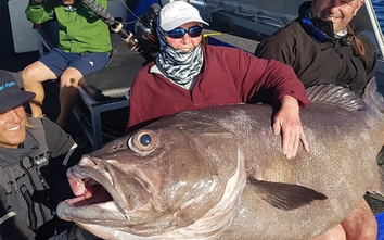 Lão bà 68 tuổi quăng cần câu được cá “quái vật” dài 1,6m