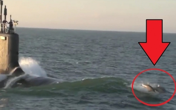 Video: Cảnh tượng cá heo đua tốc độ với tàu ngầm Mỹ