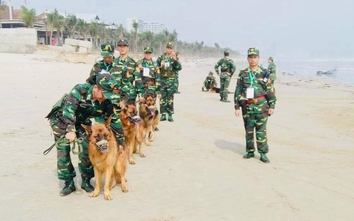 Điều ít biết về "biệt đội" chó nghiệp vụ Việt Nam bảo vệ APEC