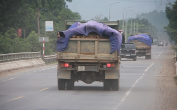 Đà Nẵng: Cấm xe ben, đầu kéo trong thời gian thi THPT Quốc gia