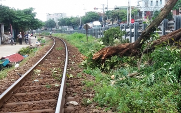 Đà Nẵng: Tàu hỏa đâm nát cây xanh cẩu bất cẩn qua đường ray