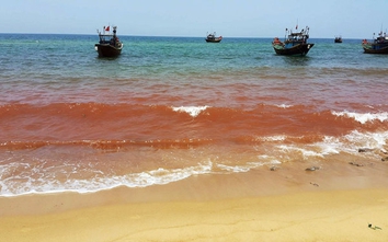 Biển Quảng Bình đổi màu đỏ bất thường
